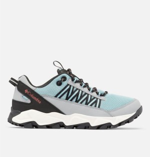 Blue Columbia Flow Fremont Women's Sneakers | 96348OCHS