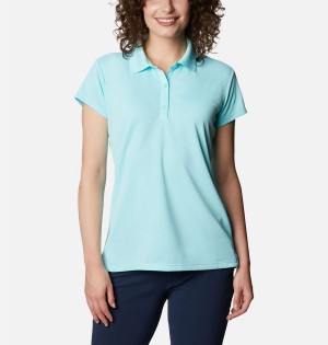 Blue Columbia PFG Innisfree Short Sleeve Polo Women's T-Shirt | 61804TICP