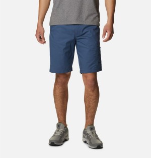 Blue Columbia Pine Canyon Cargo Men's Shorts | 31469OJUY