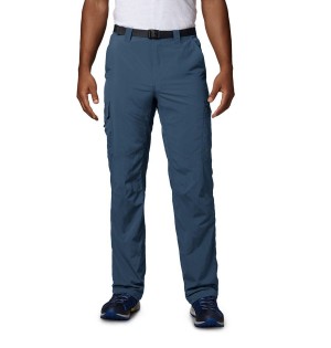 Blue Columbia Silver Ridge Cargo Men's Pants | 98256HPFG