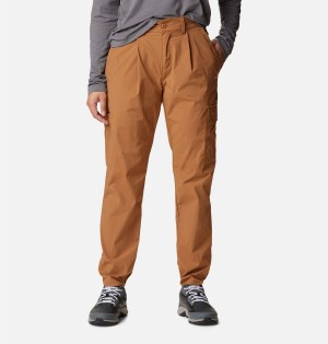 Brown Columbia Boundless Trek Pleated Women's Pants | 78124IBLK