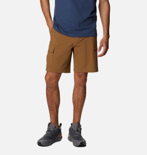 Brown Columbia Newton Ridge II Men's Shorts | 10432QLKA