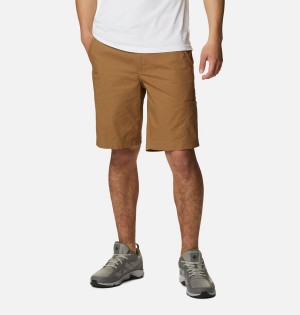 Brown Columbia Pine Canyon Cargo Men's Shorts | 35467KRZM