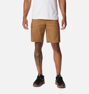 Brown Columbia Rapid Rivers Men's Shorts | 80437GIEF