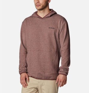 Brown Columbia Stone Canyon Men's Hoodie | 40592USAX