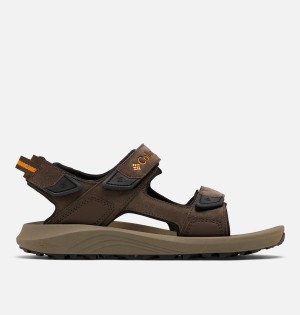 Brown Columbia Trailstorm Hiker 3-Strap Men's Sandals | 30486UONG