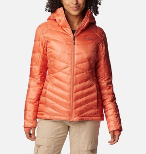 Coral Columbia Joy Peak Insulated Hooded Women's Puffer Jacket | 98163BAKS