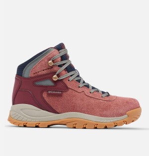 Coral Columbia Newton Ridge BC Boot Women's Hiking Shoes | 81532QBNP