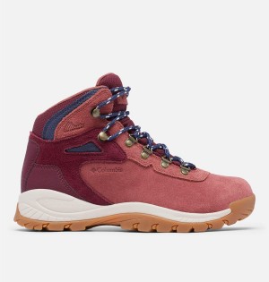 Coral Columbia Newton Ridge Plus Waterproof Amped Boot Women's Hiking Shoes | 71548YHMS