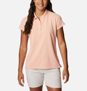 Coral Columbia PFG Innisfree Short Sleeve Polo Women's T-Shirt | 87194BXMH