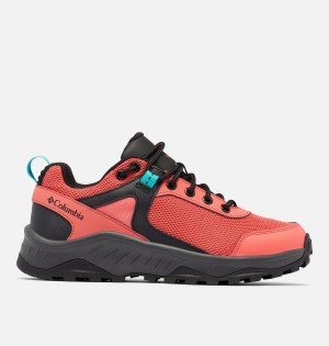 Coral Columbia Trailstorm Ascend Waterproof Women's Sneakers | 34908REAU