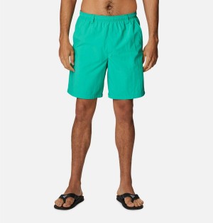 Green Columbia PFG Backcast III Water Men's Shorts | 79163LDNG