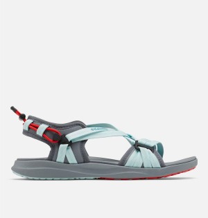 Grey Columbia Classic Women's Sandals | 12867JDXE