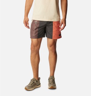 Grey Columbia Riptide Retro Men's Shorts | 95103RIJX