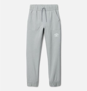 Grey Columbia Trek II Joggers Kids' Pants | 51903FQUE