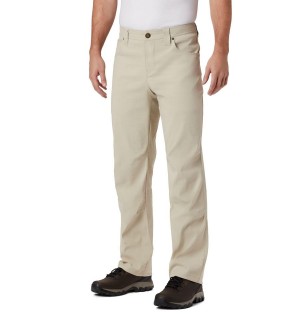 Khaki Columbia PHG Bucktail Men's Pants | 38792NGWE