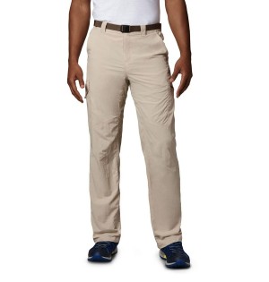 Khaki Columbia Silver Ridge Cargo Men's Pants | 73902RWOH