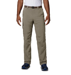 Khaki Columbia Silver Ridge Cargo Men's Pants | 69035FVWB