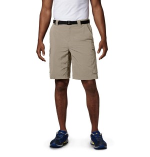 Khaki Columbia Silver Ridge Cargo Men's Shorts | 24573JMQN