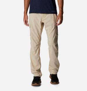 Khaki Columbia Silver Ridge Utility Men's Pants | 85124BAXG