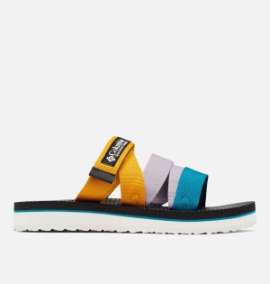 Multicolor Columbia Alava Slide Women's Sandals | 19073DIJP