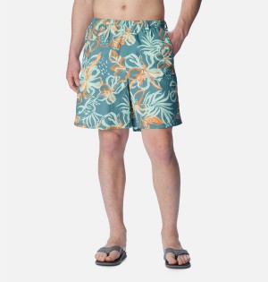 Multicolor Columbia PFG Super Backcast Water Men's Shorts | 67941OWPQ