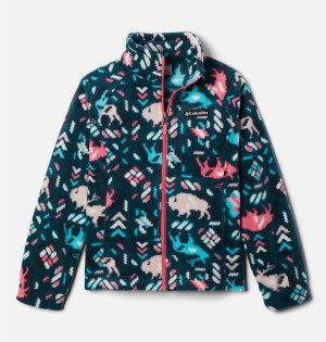 Pink Columbia Benton Springs II Printed Fleece Kids' Jacket | 35180WKON