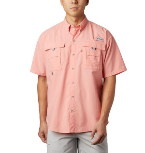 Pink Columbia PFG Bahama II Short Sleeve Men's Shirt | 42631HINW