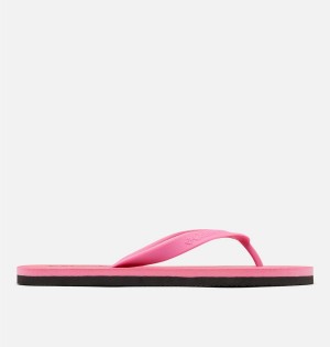 Pink Columbia Sun Trek Flip Flop Women's Sandals | 73284XMUB