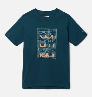 Turquoise Columbia Basin Ridge Short Sleeve Graphic Kids' T-Shirt | 60571LRVT