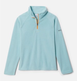 Turquoise Columbia Glacial 1/4 Zip Pullover Kids' Fleece | 41938DBLW