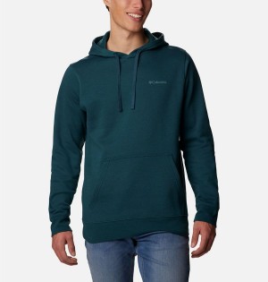 Turquoise Columbia Trek Men's Hoodie | 30874ZCVN