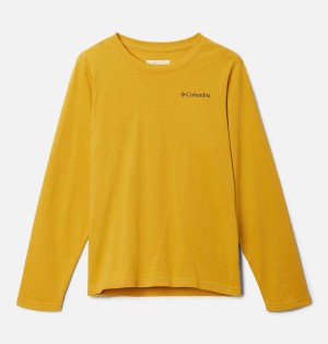 Yellow Columbia Dobson Pass Long Sleeve Graphic Kids' T-Shirt | 42680RUZF