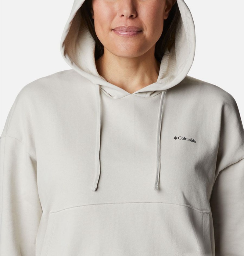 Beige Columbia Break It Down Women's Hoodie | 62153KNYP