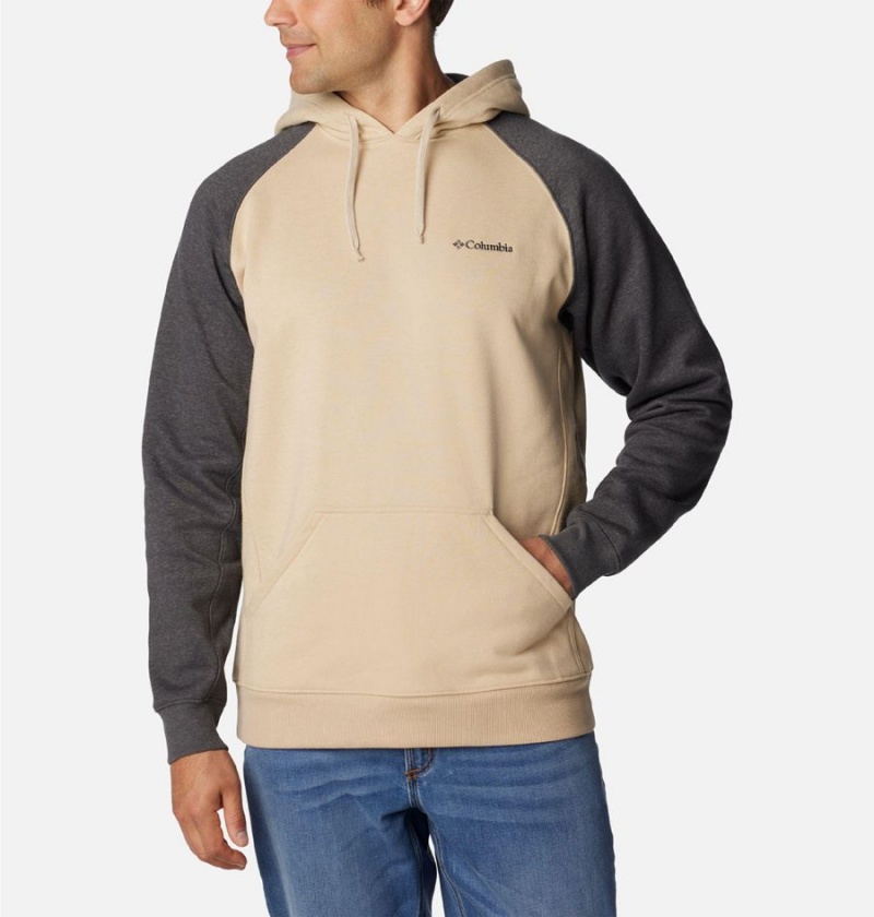 Beige Columbia Hart Mountain II Men\'s Hoodie | 84590QOEC