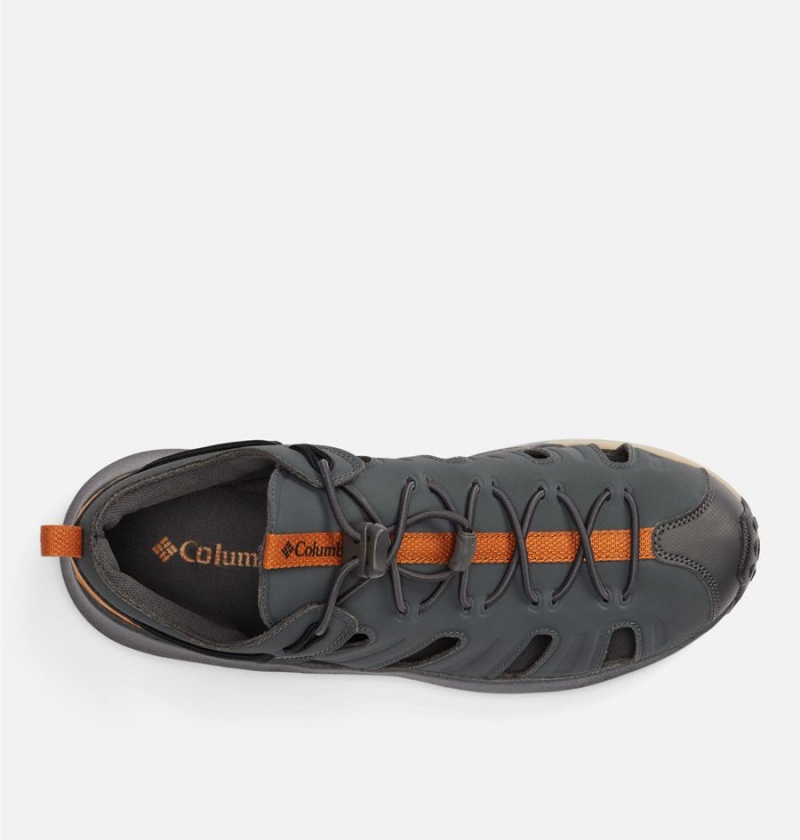 Black Columbia Trailstorm H20 Shoe Men's Sandals | 32960ONPR