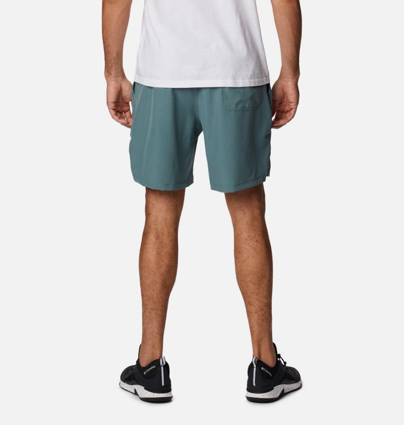 Blue Columbia Alpine Chill Zero Men's Shorts | 04182OBPW