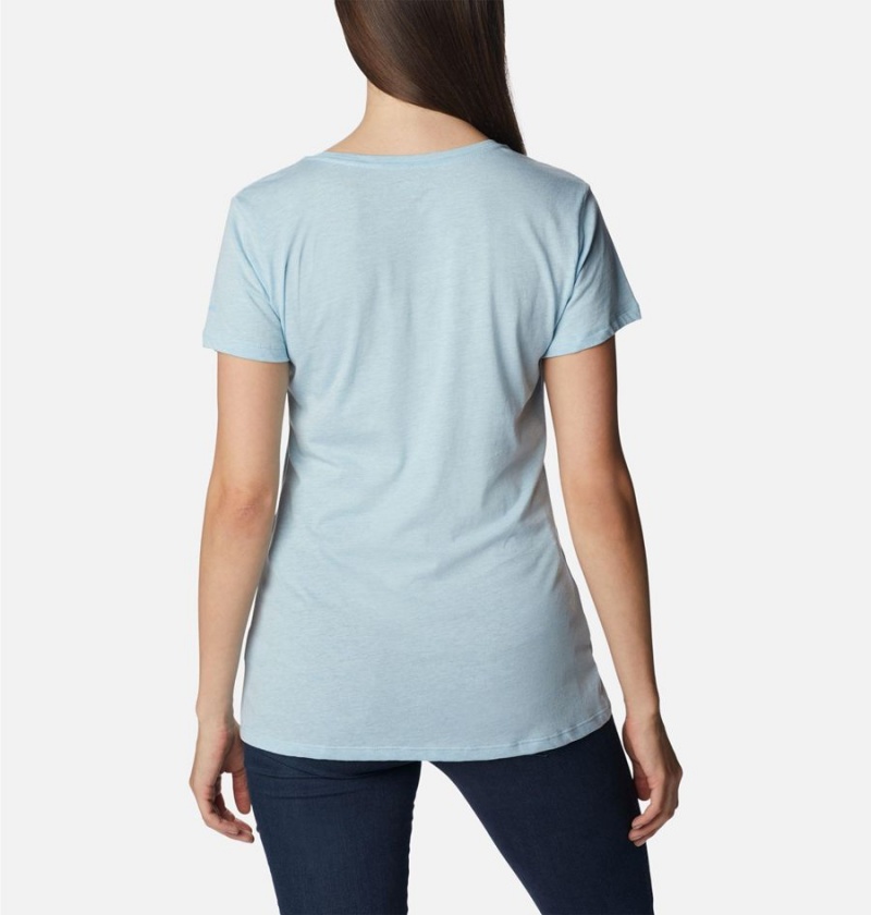 Blue Columbia Daisy Days Graphic Women's T-Shirt | 81695TZXB