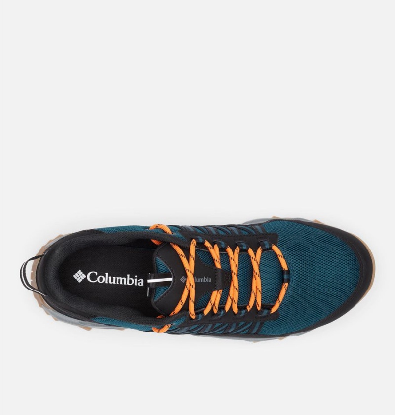 Blue Columbia Flow Fremont Men's Sneakers | 17398MCHO