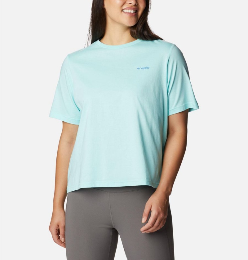 Blue Columbia PFG Bramley Bay Relaxed Women's T-Shirt | 80962NTAS