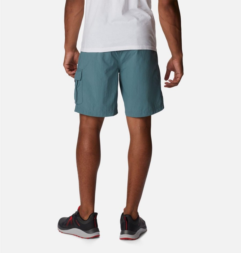 Blue Columbia Palmerston Peak Sport Men's Shorts | 41739UYEQ