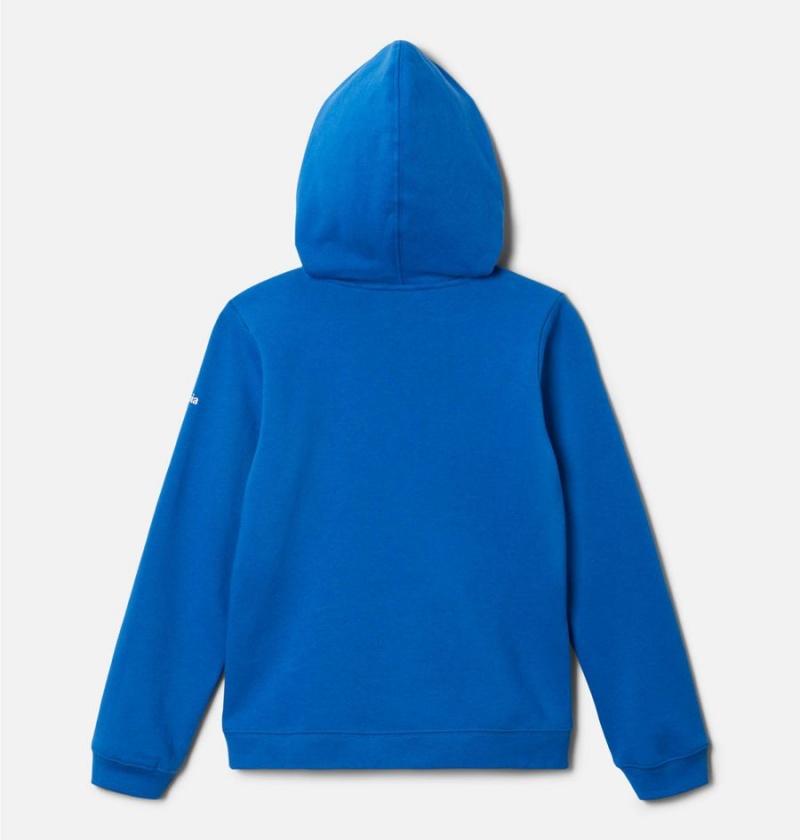 Blue Columbia Trek Pullover Kids' Hoodie | 53692ZHQP