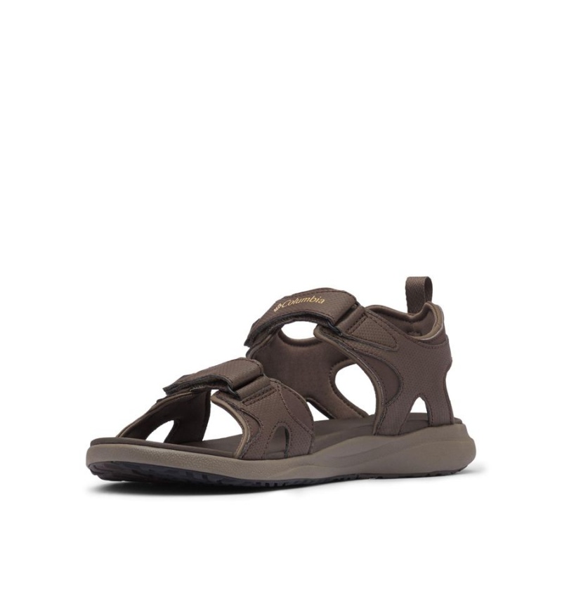 Brown Columbia Ankle Strap Men's Sandals | 21648GEKY