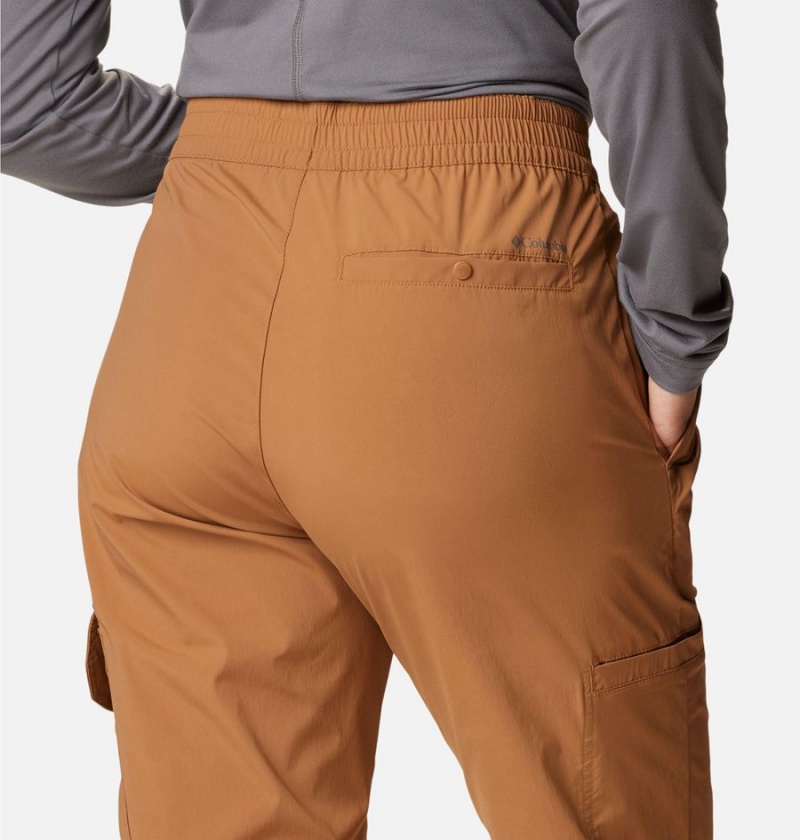 Brown Columbia Boundless Trek Pleated Women's Pants | 78124IBLK