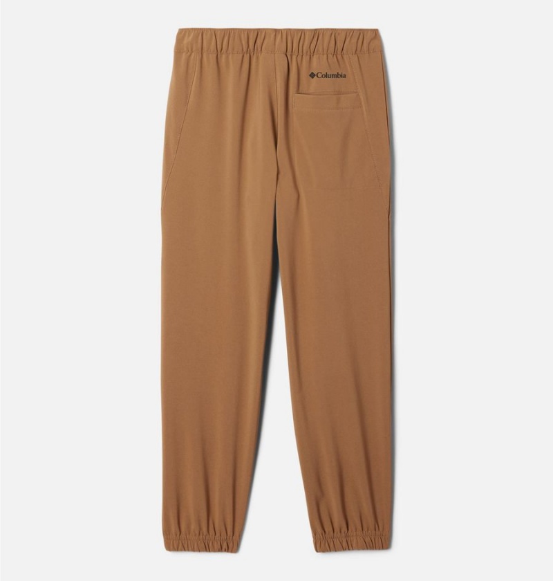 Brown Columbia Daytrekker Kids' Pants | 32069BPUR