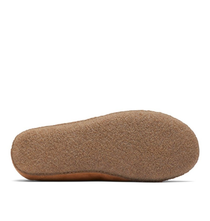 Brown Columbia Fairhaven Men's Slippers | 23870XHFM