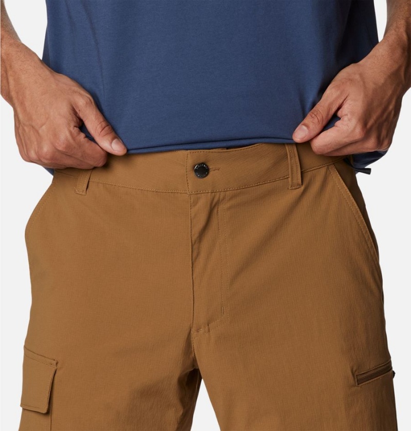 Brown Columbia Newton Ridge II Men's Shorts | 10432QLKA