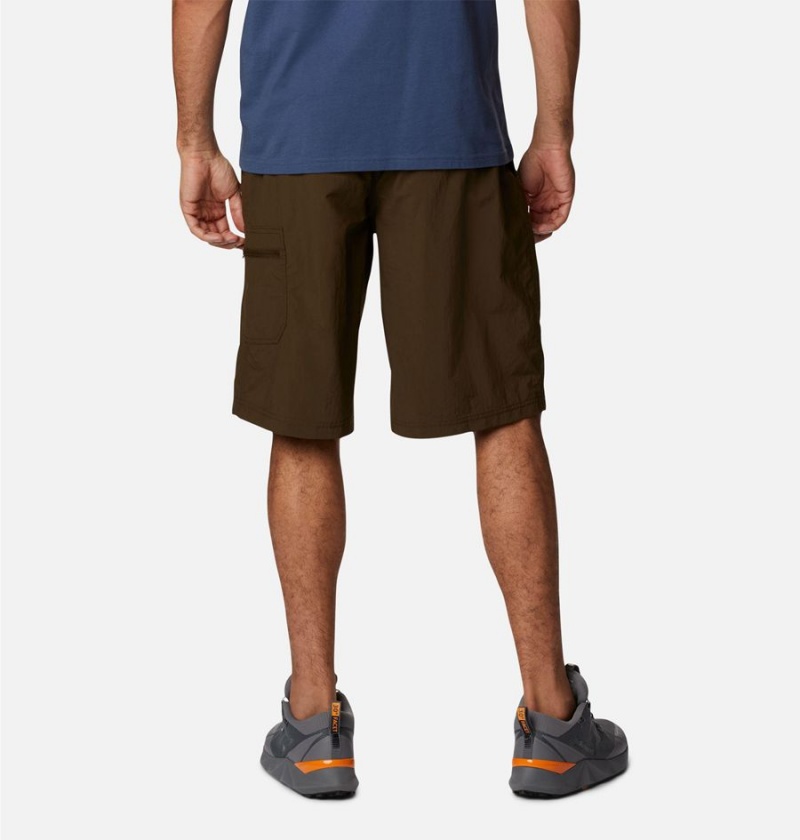 Brown Columbia Palmerston Peak Water Men's Shorts | 50369XMYW