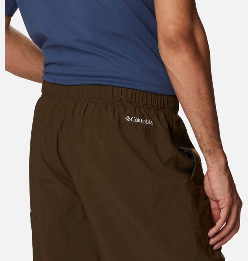 Brown Columbia Palmerston Peak Water Men's Shorts | 50369XMYW