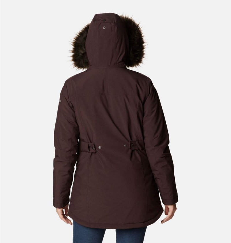 Brown Columbia Payton Pass Insulated Women's Coats | 78620FVUZ